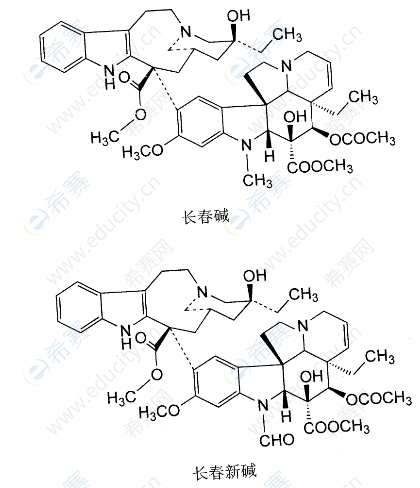 执业西药师考试高频知识点长春碱