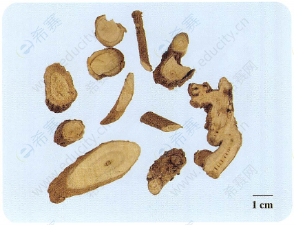 执业中药师考试知识点之山豆根
