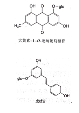 执业中药师考试之虎杖的记忆方法