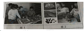 图片12.png