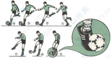 足球脚背正面踢球.png