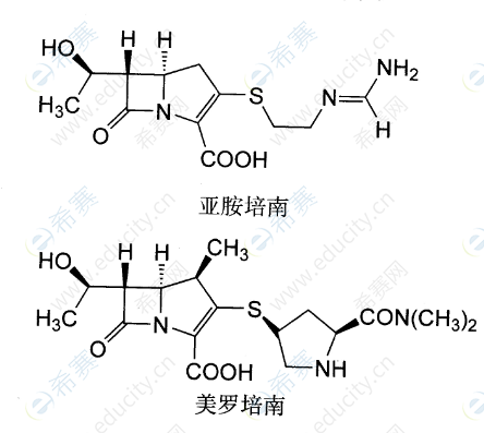 亞胺培南.png