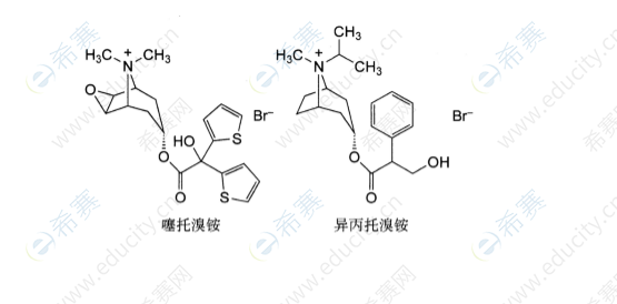 膽堿受體拮抗劑.png