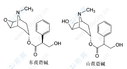 执业西药师结构学习之解痉药