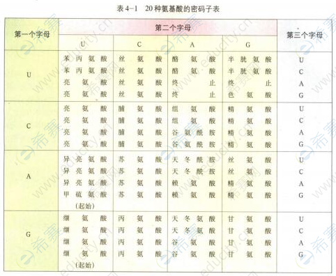 遗传密码.png