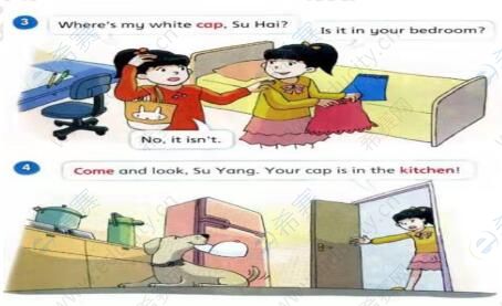 Where’s my white cap.jpg