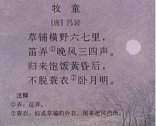 牧童.jpg