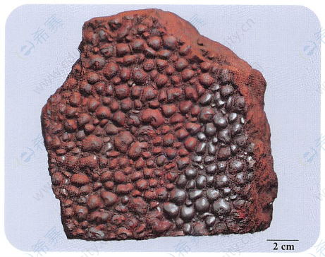 鲕状赤铁矿图片