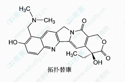 拓?fù)涮婵?png