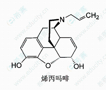 丙烯嗎啡.png