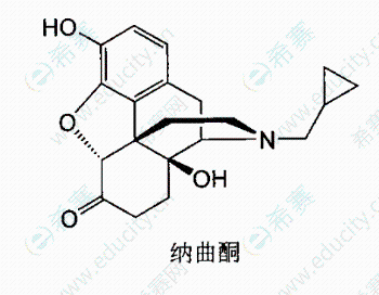 执业西药师结构之丙烯吗啡纳洛酮纳曲酮