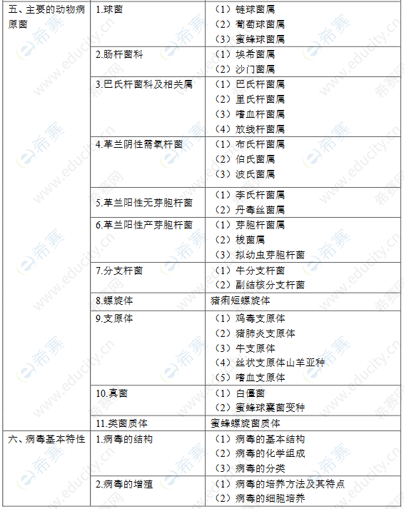 圖片.png
