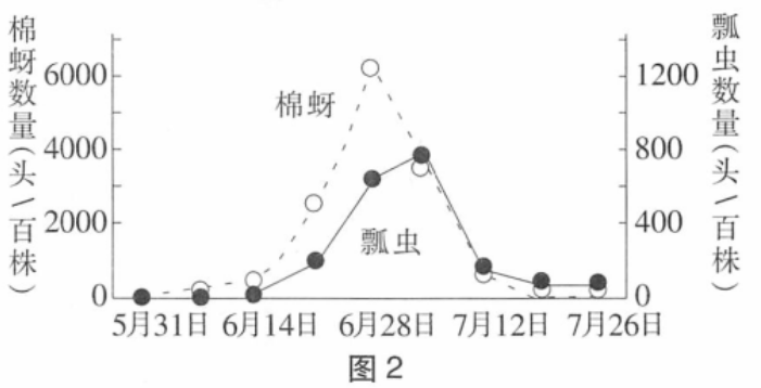 图2是棉田中棉蚜及其天敌瓢虫的种群数量变化曲线图,下列叙述不正确的